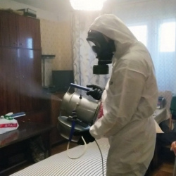 Дезинфекция от клопов в Ожерелье