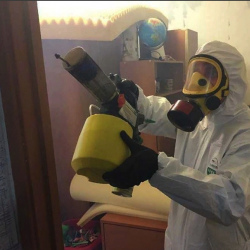Уничтожение клопов в квартире. Ожерелье
